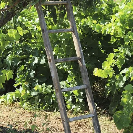 Gæstehus Le Carre Des Vignes Six-Fours-les-Plages